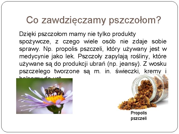 Co zawdzięczamy pszczołom? Dzięki pszczołom mamy nie tylko produkty spożywcze, z czego wiele osób