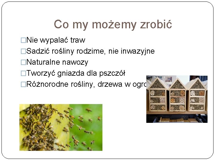 Co my możemy zrobić �Nie wypalać traw �Sadzić rośliny rodzime, nie inwazyjne �Naturalne nawozy