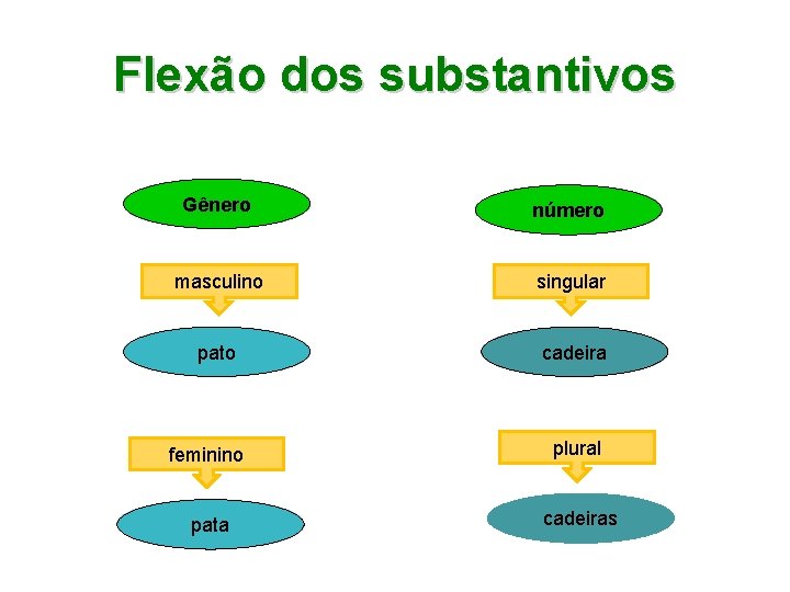 Flexão dos substantivos Gênero número masculino singular pato cadeira feminino plural pata cadeiras 