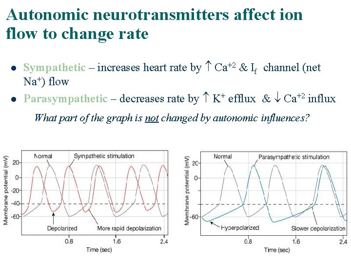 Autonomic neurotransmitters affect ion flow to change rate l l Sympathetic – increases heart