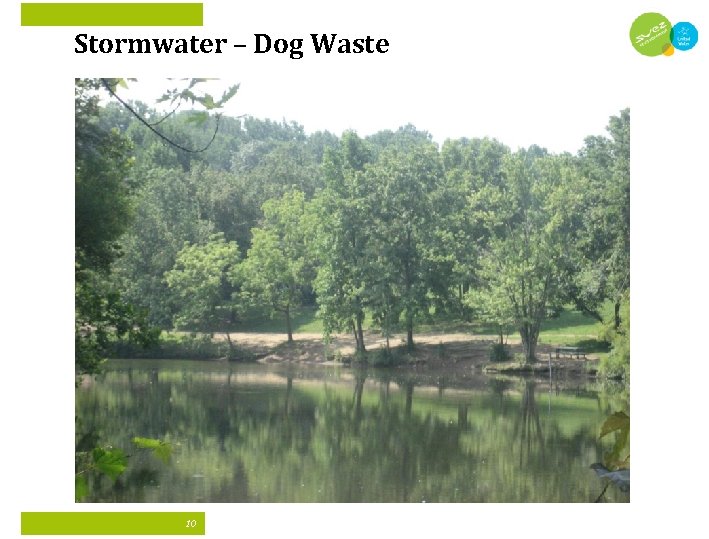Stormwater – Dog Waste 10 
