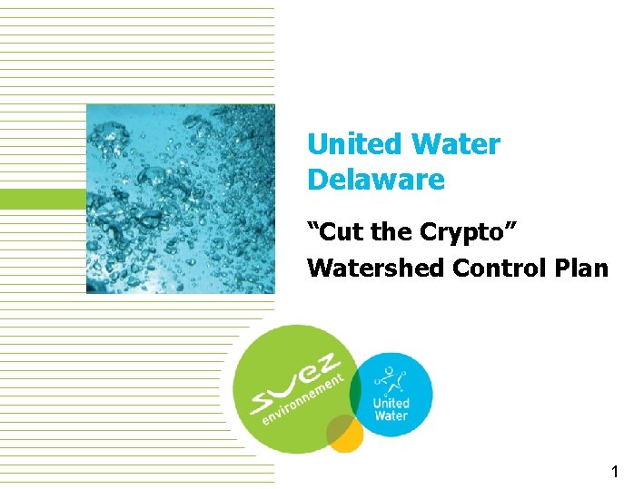 United Water Delaware “Cut the Crypto” Watershed Control Plan 16 1 