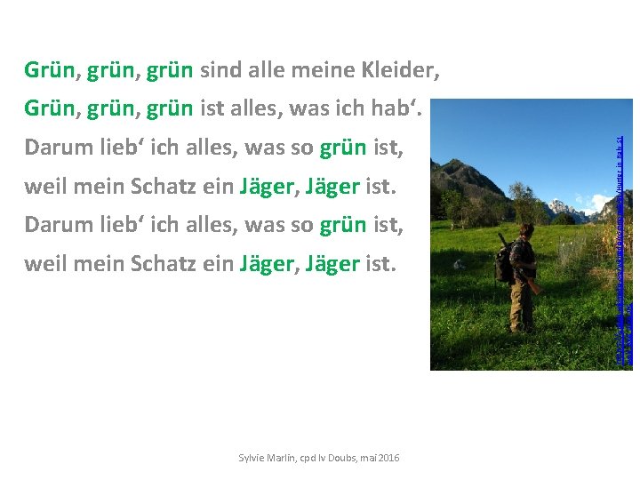 Grün, grün sind alle meine Kleider, Darum lieb‘ ich alles, was so grün ist,