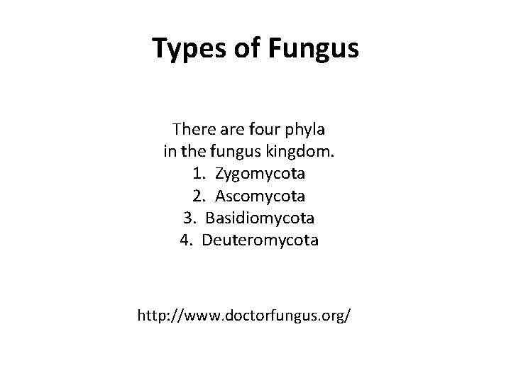 Types of Fungus There are four phyla in the fungus kingdom. 1. Zygomycota 2.