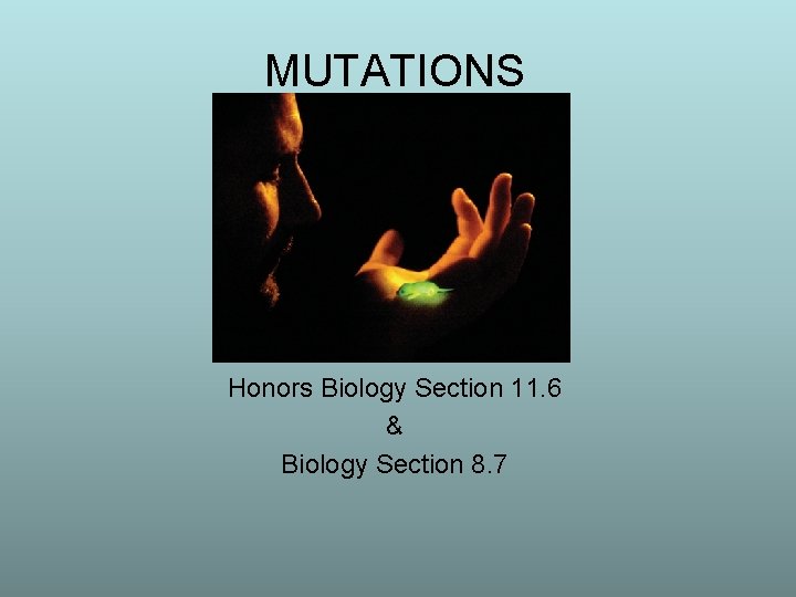MUTATIONS Honors Biology Section 11. 6 & Biology Section 8. 7 