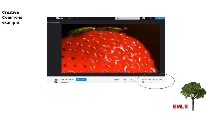 Creative Commons example EMLS 