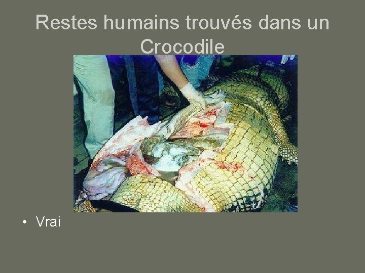 Restes humains trouvés dans un Crocodile • Vrai 