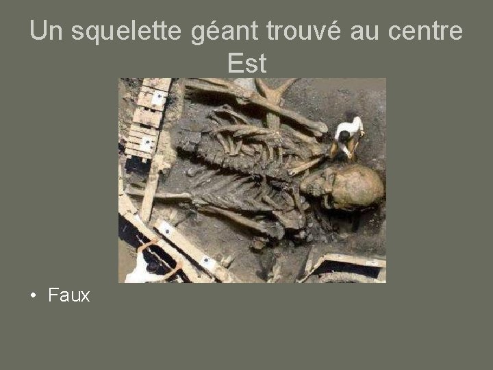 Un squelette géant trouvé au centre Est • Faux 