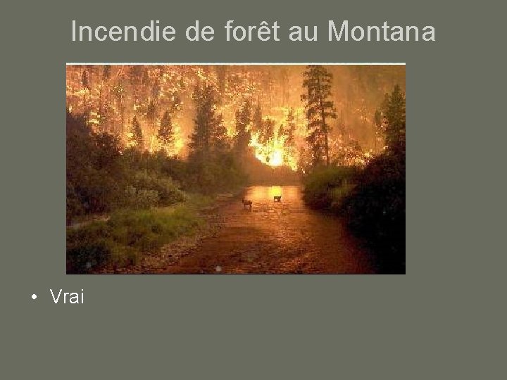 Incendie de forêt au Montana • Vrai 