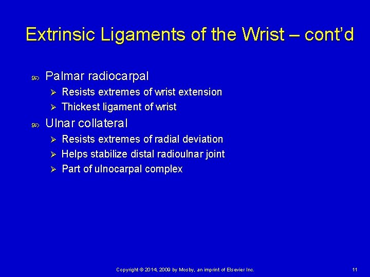 Extrinsic Ligaments of the Wrist – cont’d Palmar radiocarpal Resists extremes of wrist extension