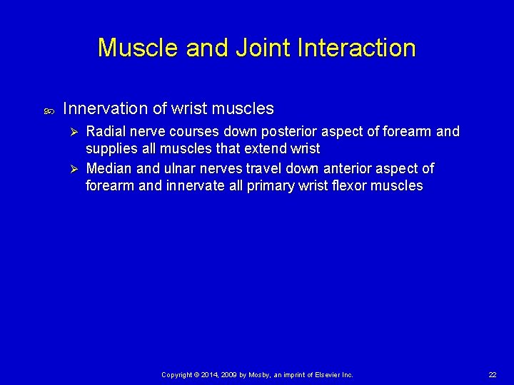 Muscle and Joint Interaction Innervation of wrist muscles Radial nerve courses down posterior aspect