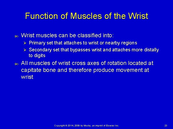 Function of Muscles of the Wrist muscles can be classified into: Primary set that