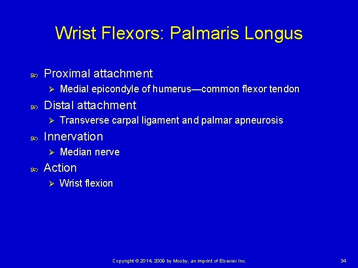 Wrist Flexors: Palmaris Longus Proximal attachment Ø Distal attachment Ø Transverse carpal ligament and