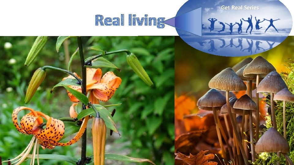 Real living Get Real Series 10 