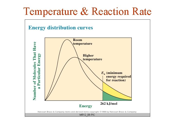 Temperature & Reaction Rate 