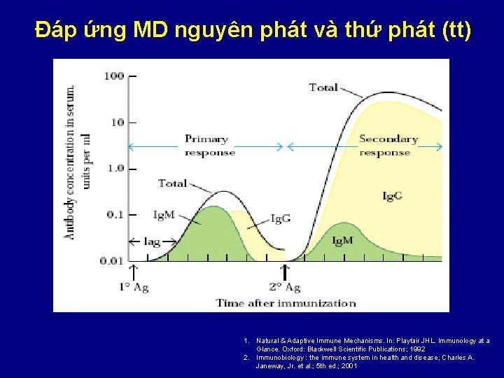 Đáp ứng MD nguyên phát và thứ phát (tt) 1. Natural & Adaptive Immune