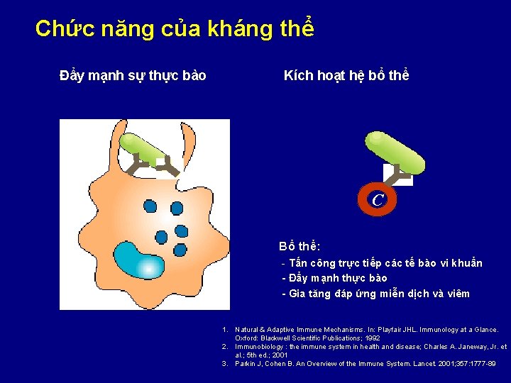 Chức năng của kháng thể Đẩy mạnh sự thực bào Kích hoạt hệ bổ