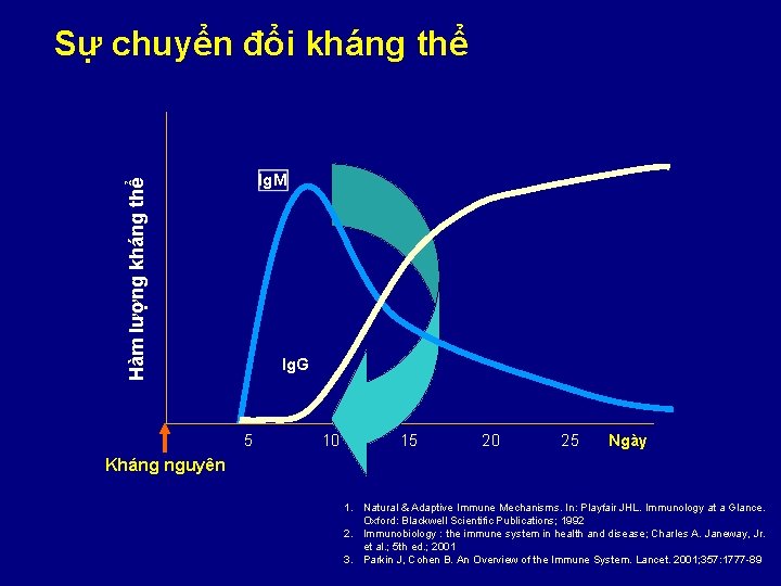 Sự chuyển đổi kháng thể Hàm lượng kháng thể Ig. M Ig. G 5