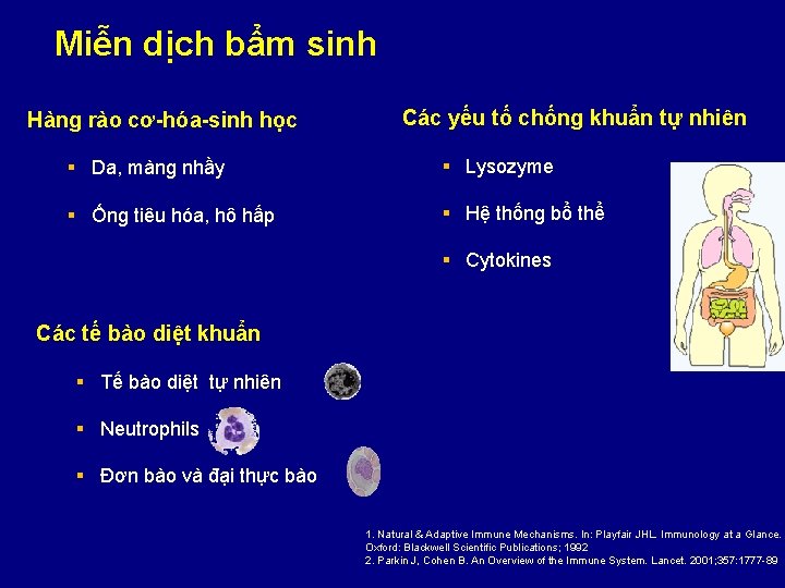 Miễn dịch bẩm sinh Hàng rào cơ-hóa-sinh học Các yếu tố chống khuẩn tự