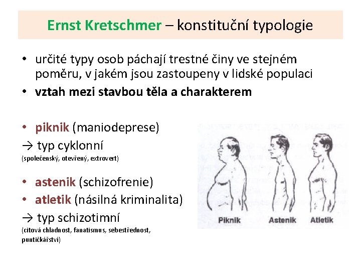 Ernst Kretschmer – konstituční typologie • určité typy osob páchají trestné činy ve stejném