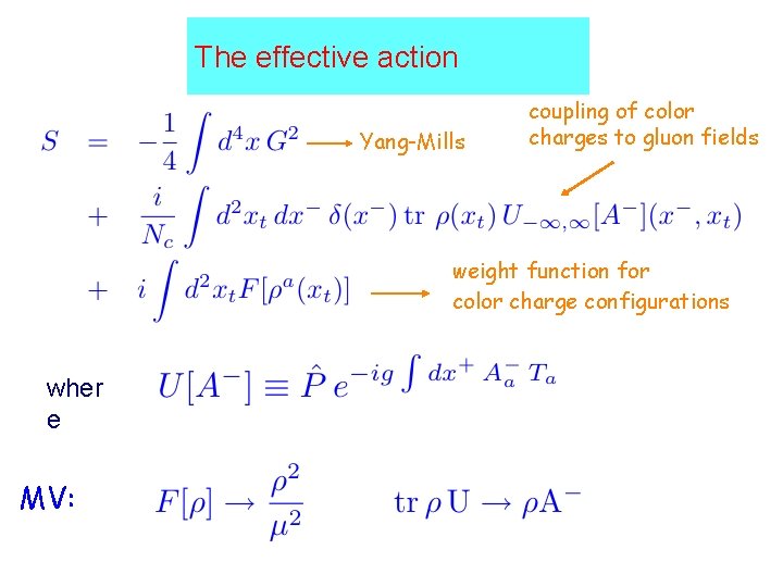 The effective action Yang-Mills coupling of color charges to gluon fields weight function for