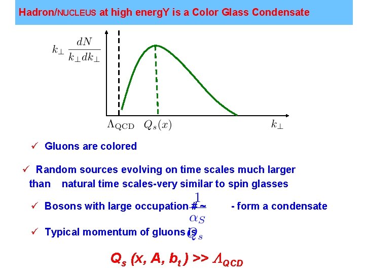 Hadron/NUCLEUS at high energ. Y is a Color Glass Condensate ü Gluons are colored
