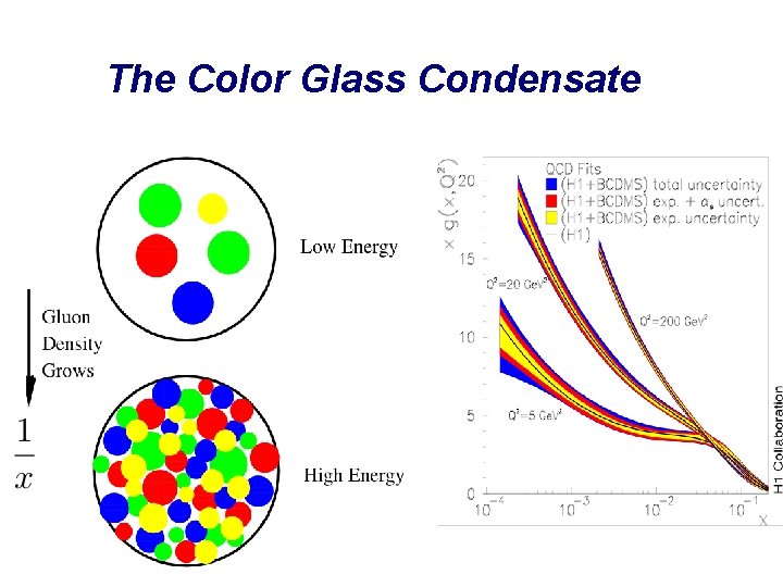 The Color Glass Condensate 