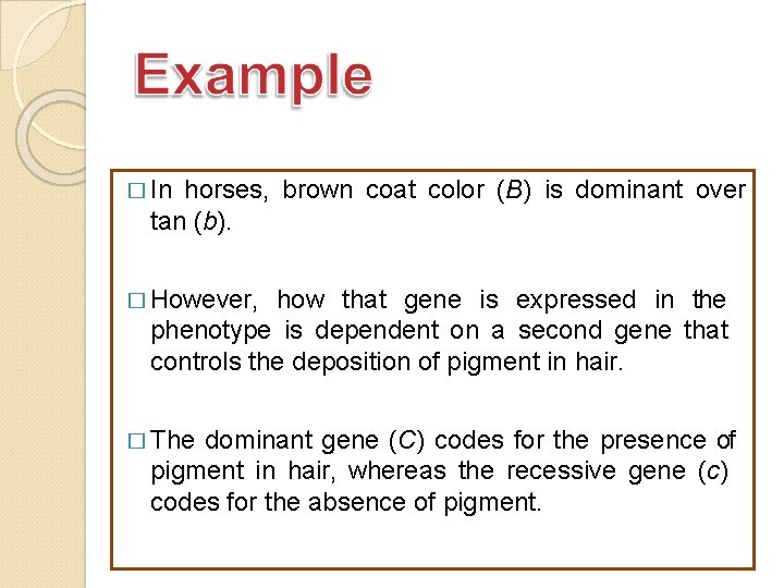 � In horses, brown coat color (B) is dominant over tan (b). � However,