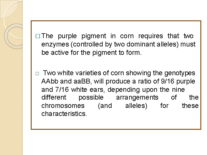 � The purple pigment in corn requires that two enzymes (controlled by two dominant