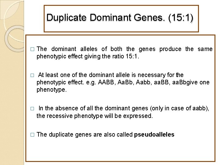 Duplicate Dominant Genes. (15: 1) � The dominant alleles of both the genes produce