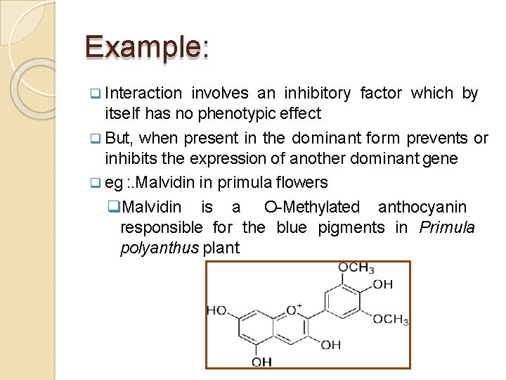 Example: Interaction involves an inhibitory factor which by itself has no phenotypic effect But,