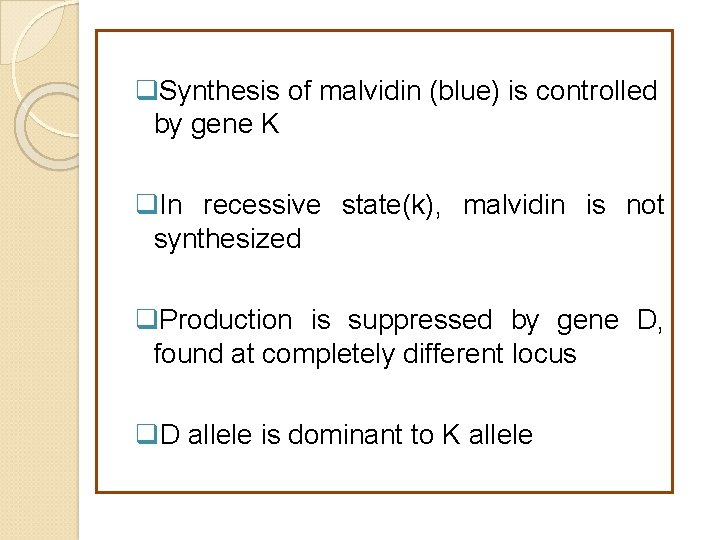  Synthesis of malvidin (blue) is controlled by gene K In recessive state(k), malvidin