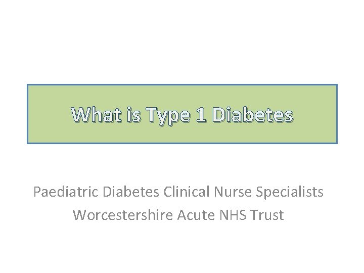 What is Type 1 Diabetes Paediatric Diabetes Clinical Nurse Specialists Worcestershire Acute NHS Trust