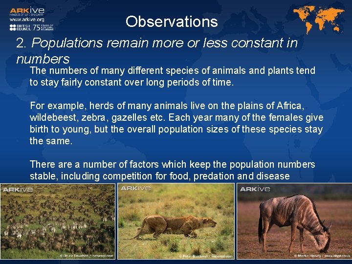 Observations 2. Populations remain more or less constant in numbers The numbers of many