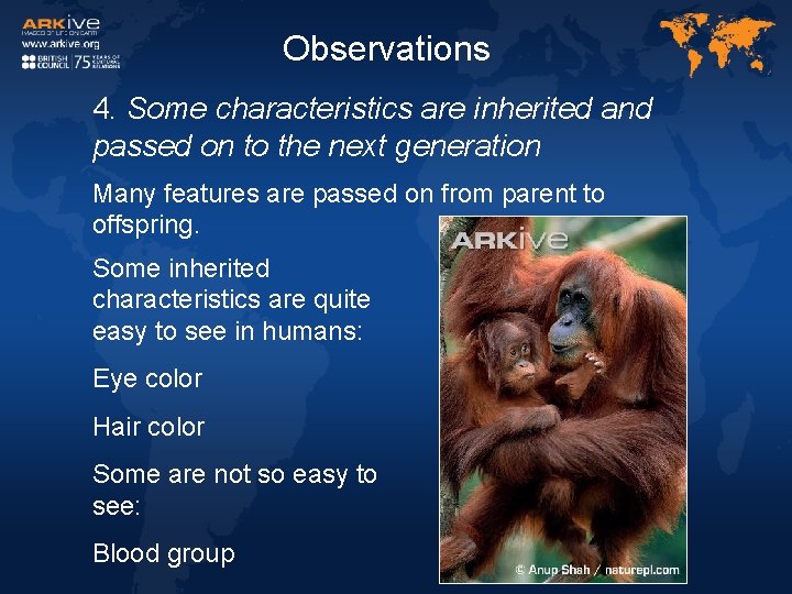 Observations 4. Some characteristics are inherited and passed on to the next generation Many