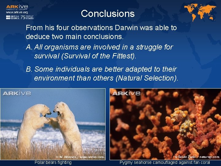 Conclusions From his four observations Darwin was able to deduce two main conclusions. A.