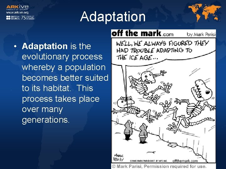 Adaptation • Adaptation is the evolutionary process whereby a population becomes better suited to