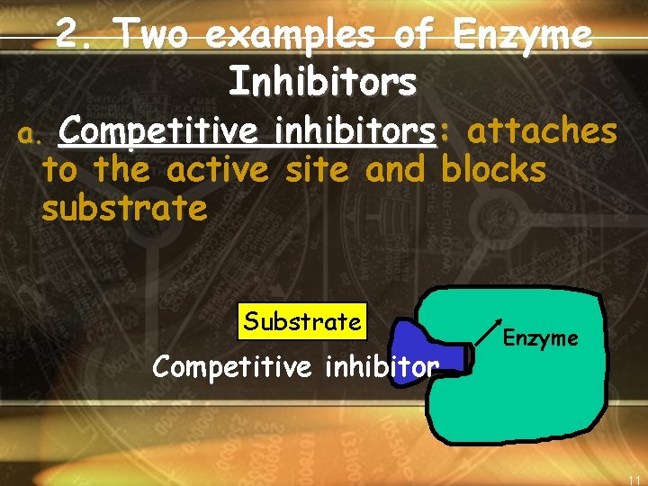 2. Two examples of Enzyme Inhibitors Competitive inhibitors: attaches to the active site and