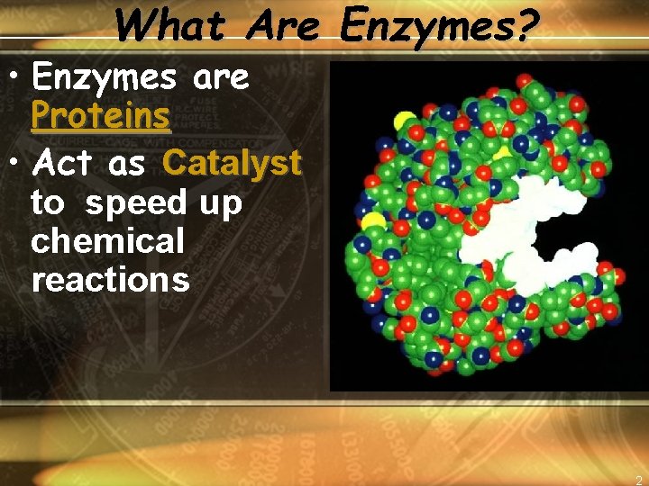 What Are Enzymes? • Enzymes are Proteins • Act as Catalyst to speed up