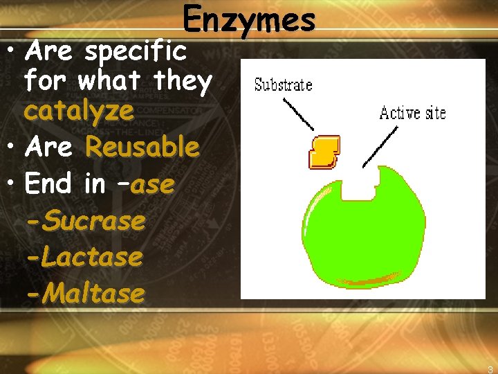 Enzymes • Are specific for what they catalyze • Are Reusable • End in