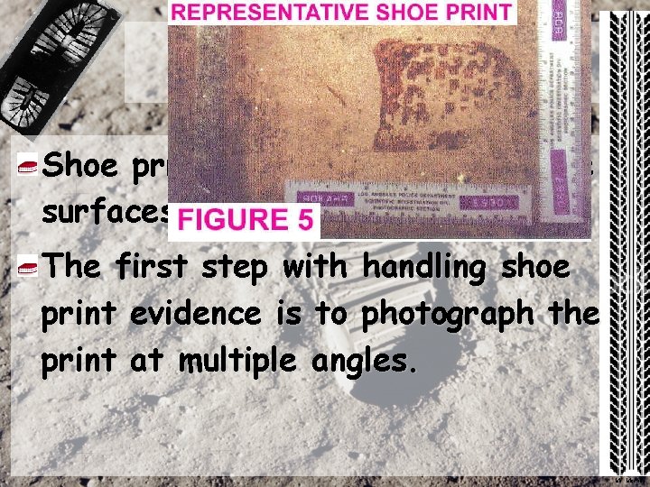 Shoe Print Shoe prints can be left on multiple surfaces. The first step with