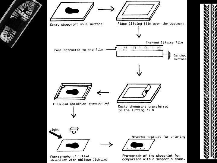 Mr. Mc. Niff Mr. Mc. Niff