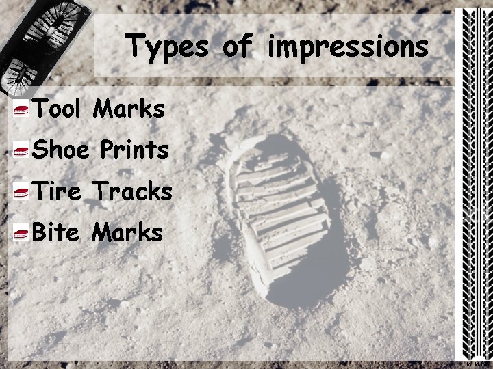 Types of impressions Tool Marks Shoe Prints Tire Tracks Bite Marks Mr. Mc. Niff