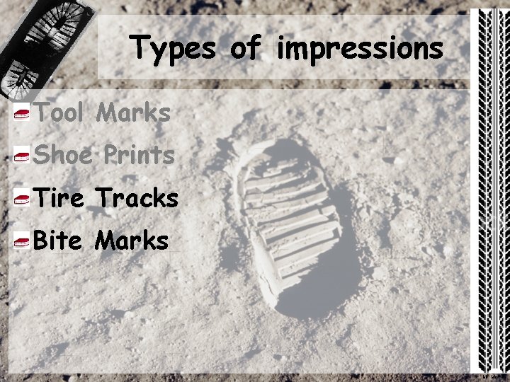 Types of impressions Tool Marks Shoe Prints Tire Tracks Bite Marks Mr. Mc. Niff Types of impressions Tool Marks Shoe Prints Tire Tracks Bite Marks Mr. Mc. Niff