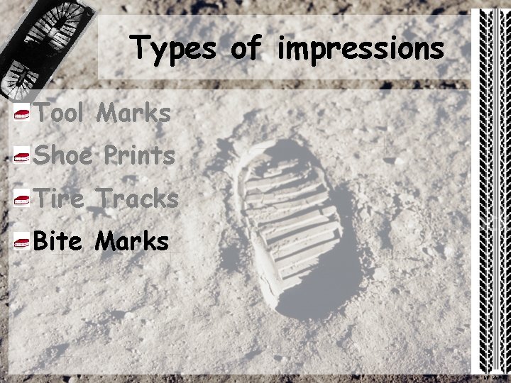 Types of impressions Tool Marks Shoe Prints Tire Tracks Bite Marks Mr. Mc. Niff
