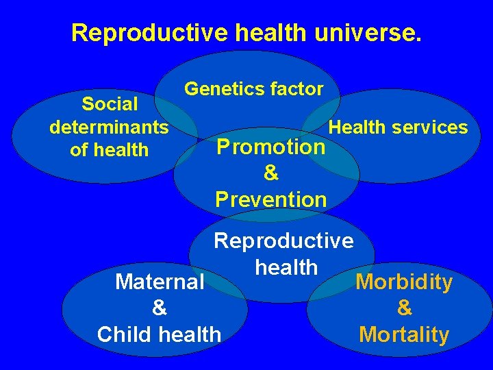 Reproductive health universe. Social determinants of health Genetics factor Health services Promotion & Prevention