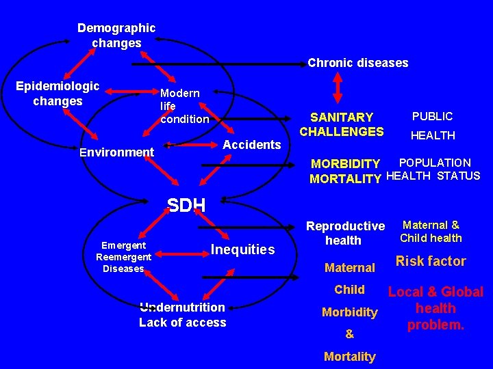 Demographic changes Chronic diseases Epidemiologic changes Modern life condition Accidents Environment SANITARY CHALLENGES PUBLIC