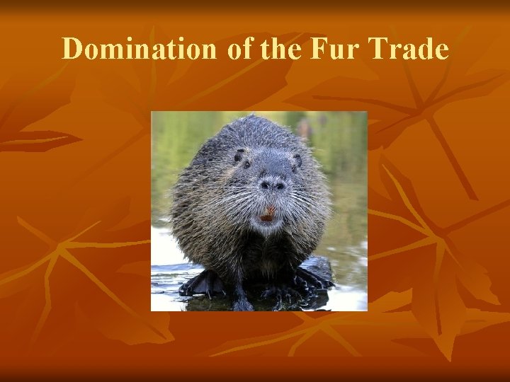 Domination of the Fur Trade Domination of the Fur Trade