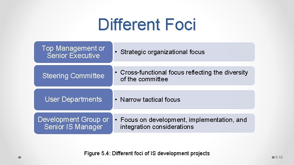 Different Foci Top Management or Senior Executive • Strategic organizational focus Steering Committee • Different Foci Top Management or Senior Executive • Strategic organizational focus Steering Committee •