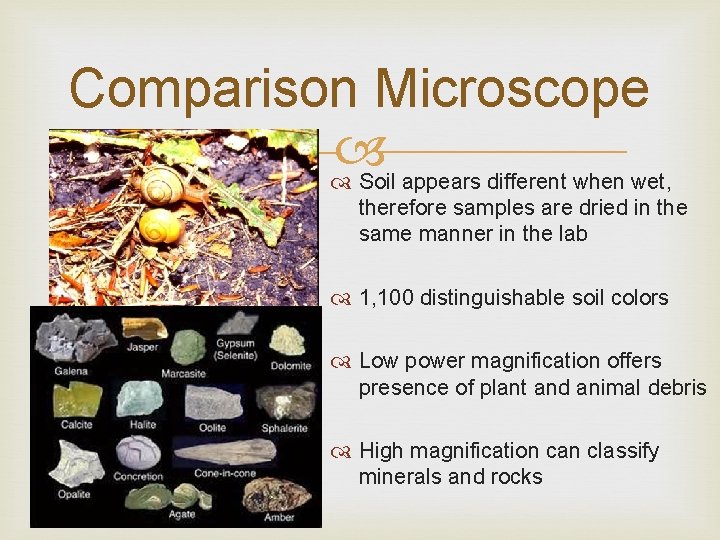 Comparison Microscope Soil appears different when wet, therefore samples are dried in the same
